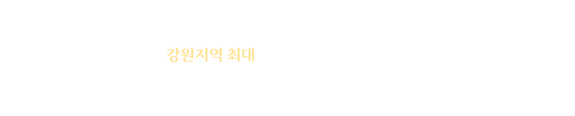 강원지역 최대 엔도타인 시술 의료기관