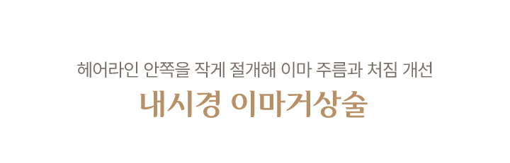 내시경 이마거상술