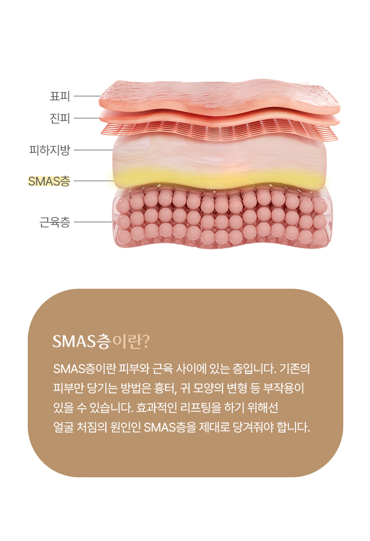 SMAS층 이란?
