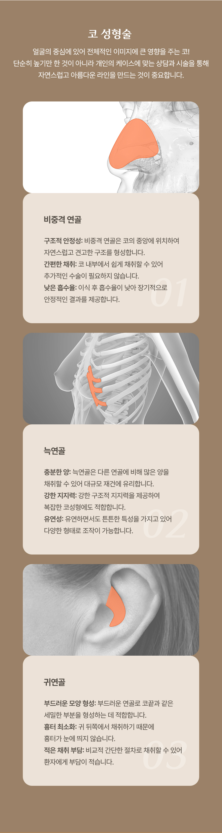 코 성형술
