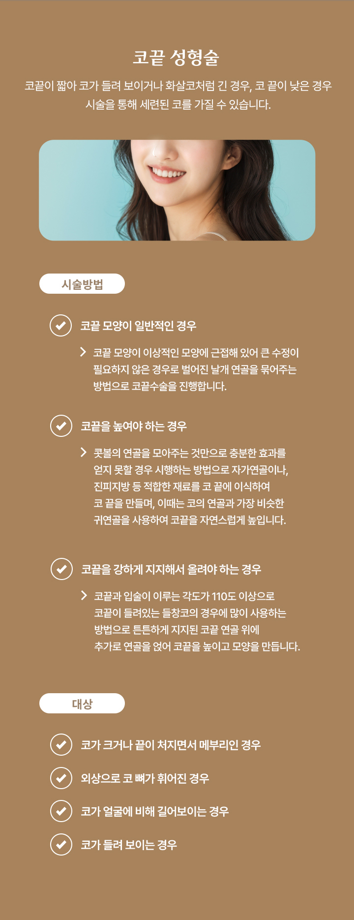 코끝 성형술