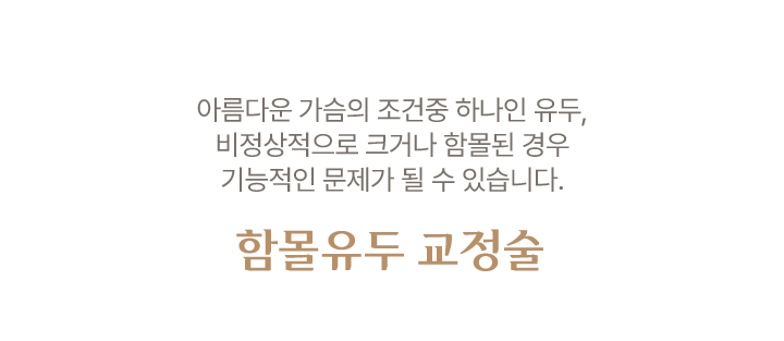 함몰유두 교정술