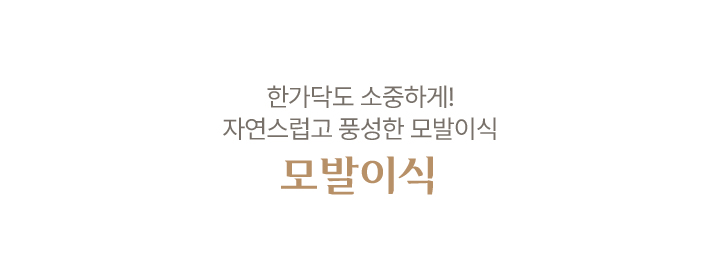 모발이식