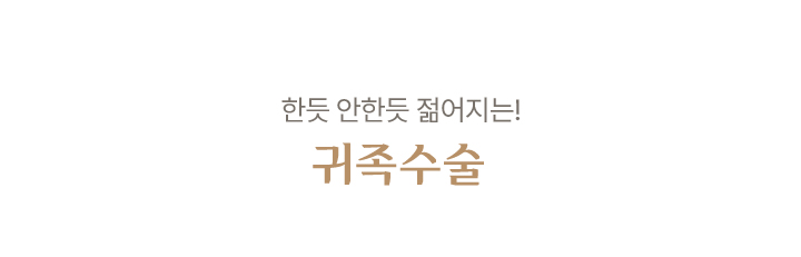 귀족수술