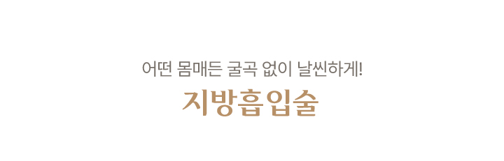 지방흡입술