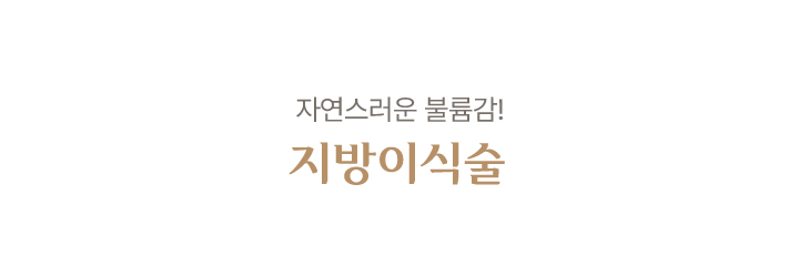 지방이식술
