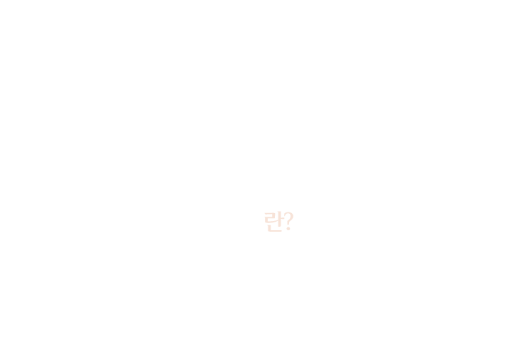 필러란?