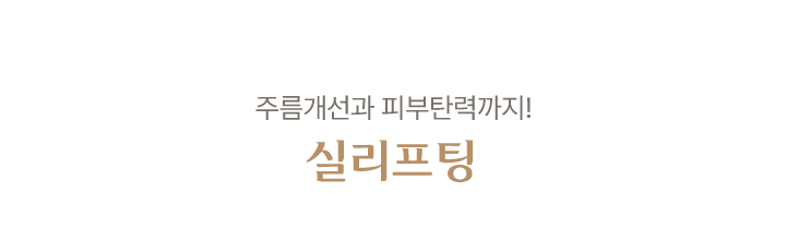 실 리프팅