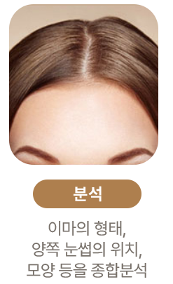 분석