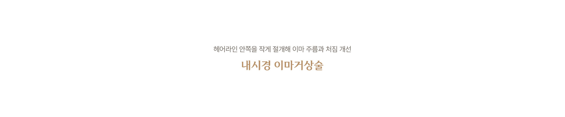 내시경 이마거상술