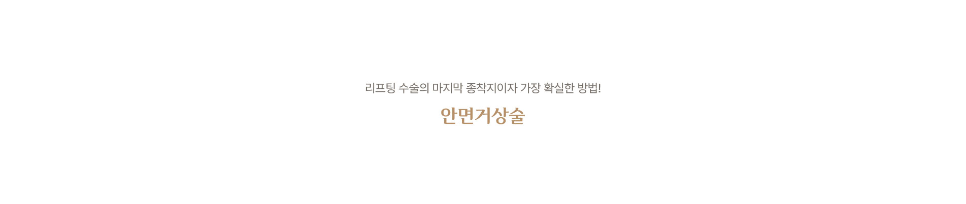 안면 거상술