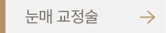 눈매 교정술