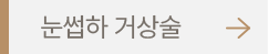 눈썹하 거상술