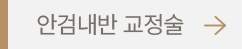 안검내반 교정술