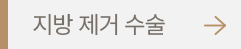 지방 제거 수술