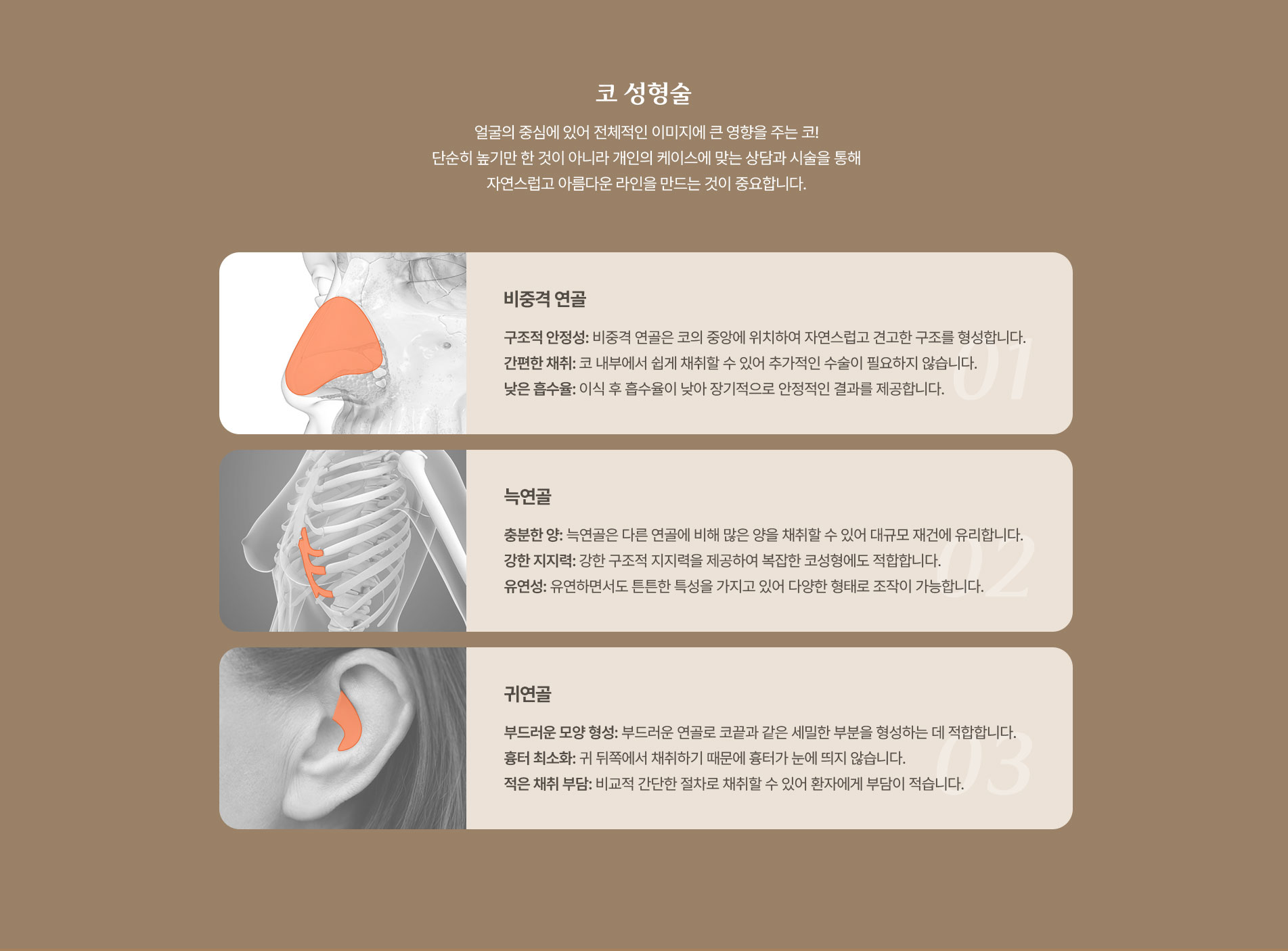 코 성형술