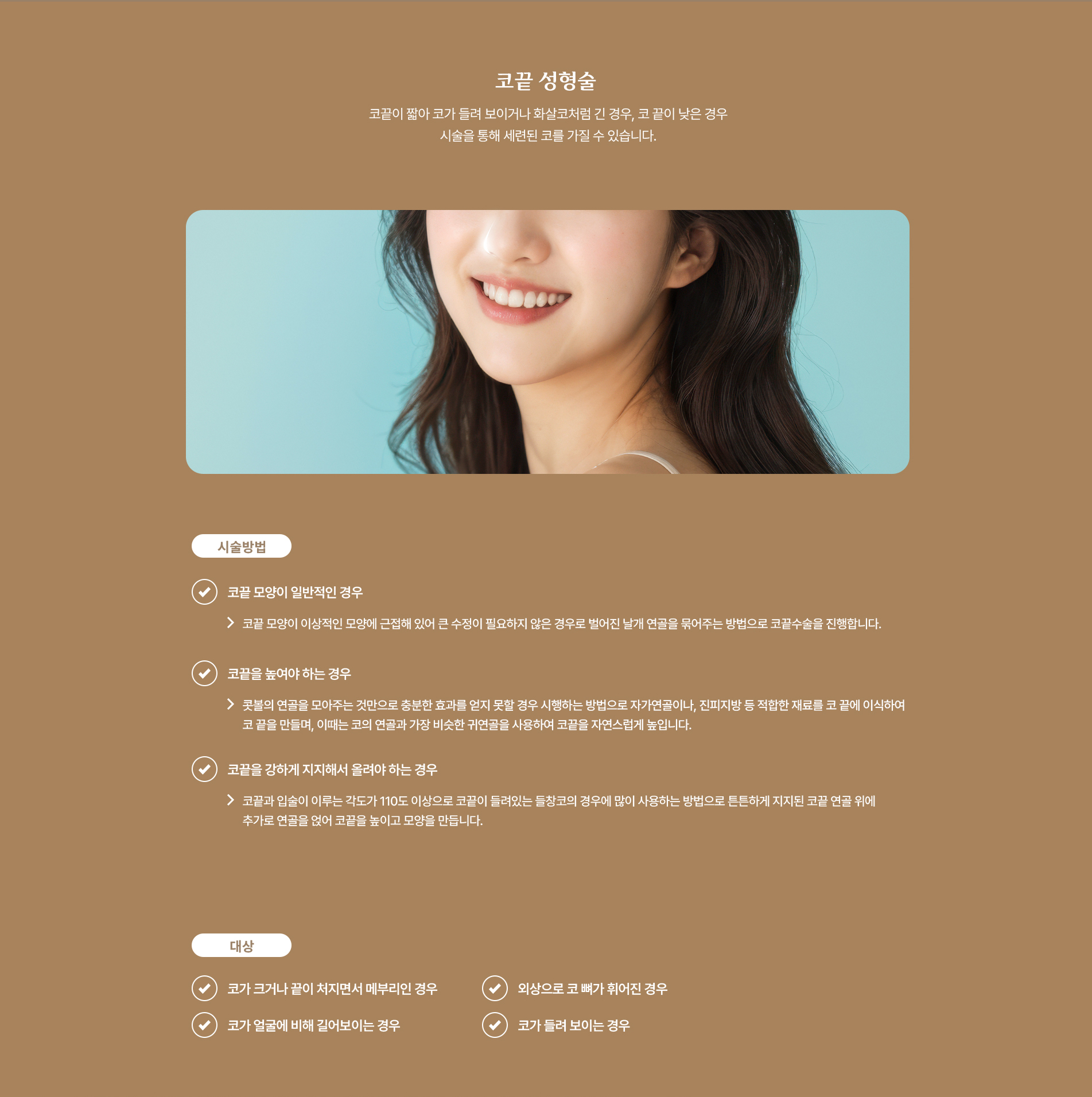코끝 성형술