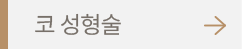 코 성형술