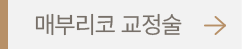 매부리코 교정술