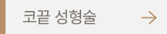 코끝 성형술