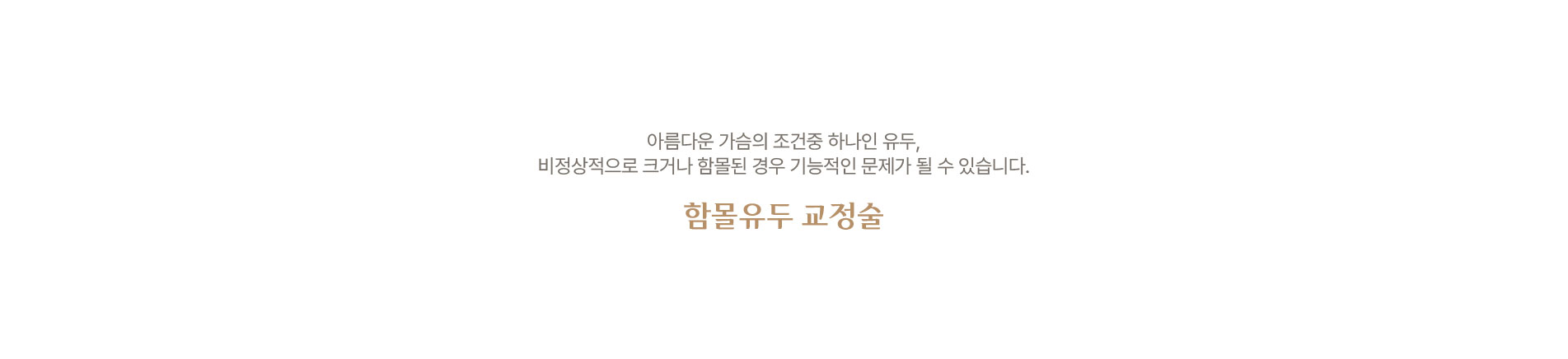 함몰유두 교정술