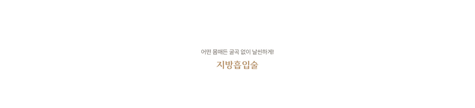 지방흡입술