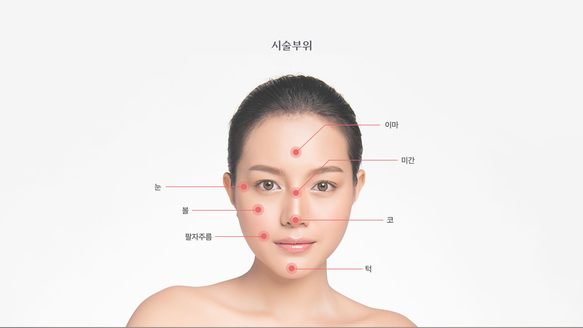 지방이식 시술부위