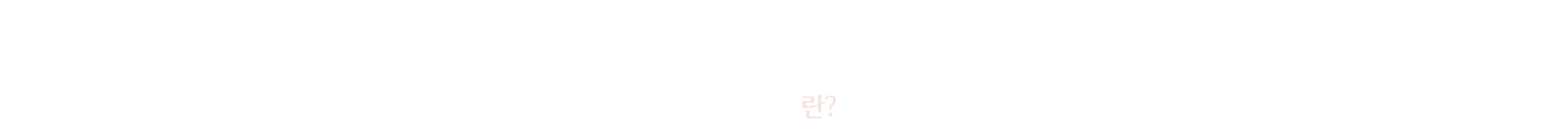 필러란?