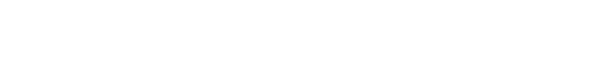 필러란?