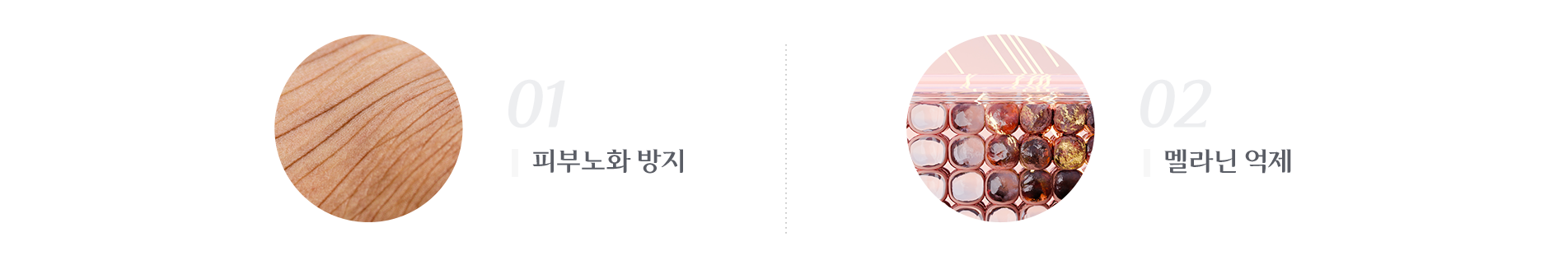 피부노화 방지 , 멜라닌 먹제