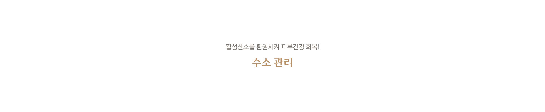 수소관리