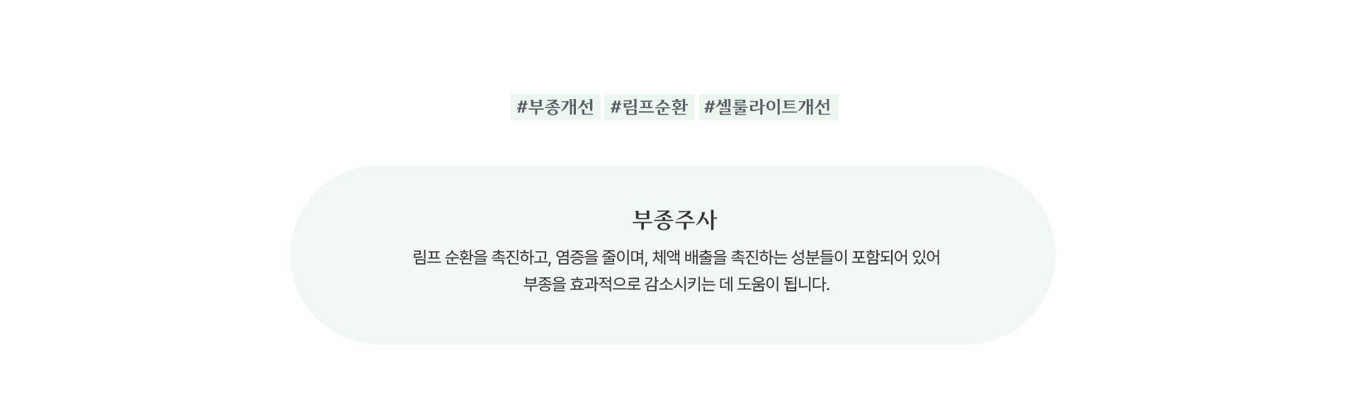 부종주사 주사