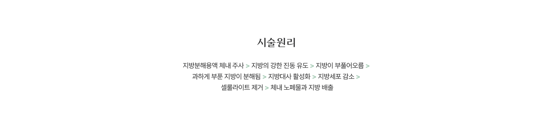 시술 원리